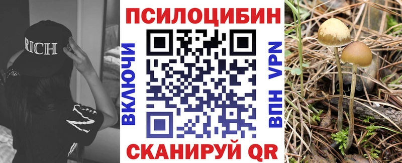Псилоцибиновые грибы Magic Shrooms Власиха